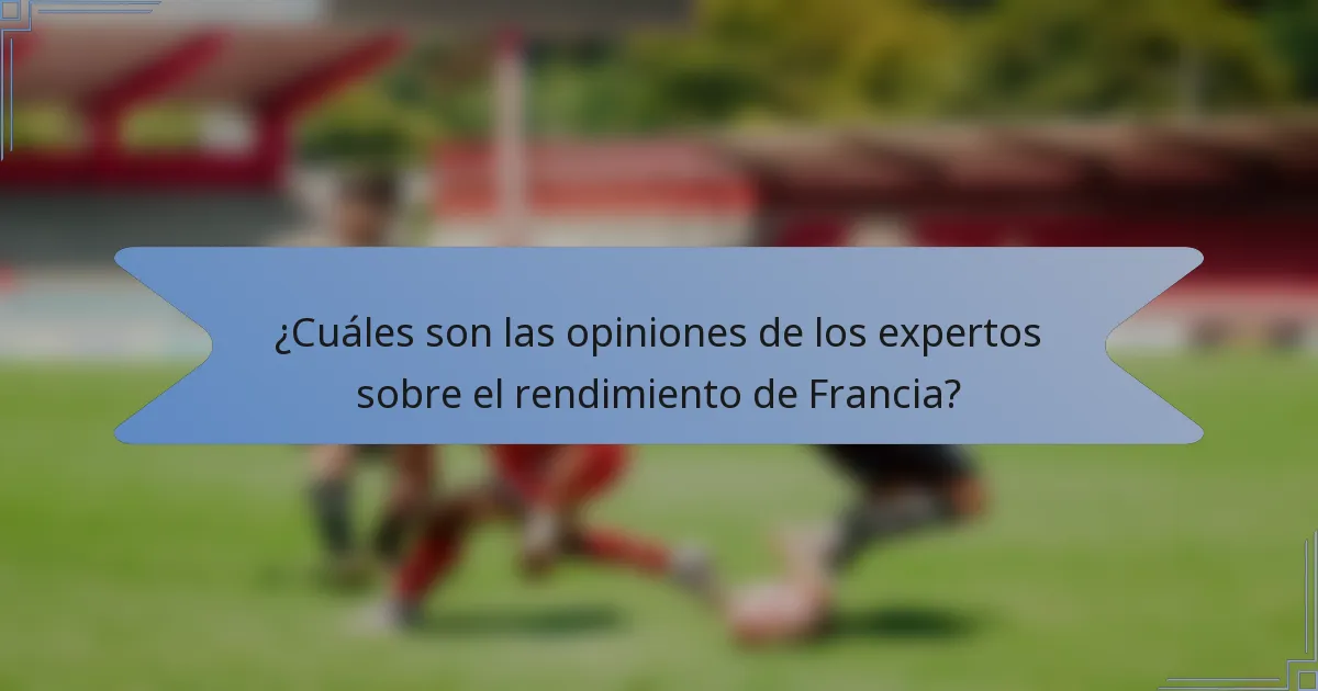 ¿Cuáles son las opiniones de los expertos sobre el rendimiento de Francia?